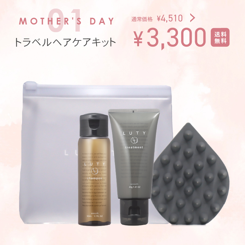 ＜4月末出荷予定＞【2025母の日 ギフト】トラベルヘアケアキット（ポーチ入り）(シャンプー（モイスト）-トリートメント（モイスト）)